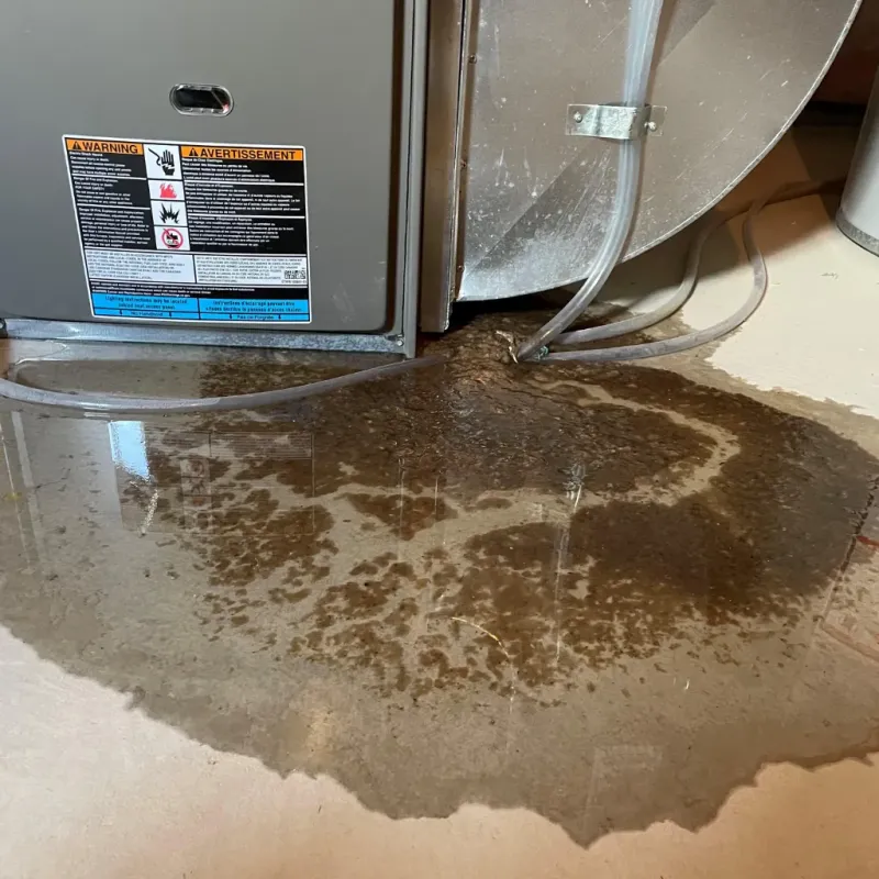 Appliance Leak Cleanup in Barron, WI